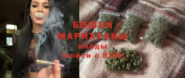 гидра Семилуки