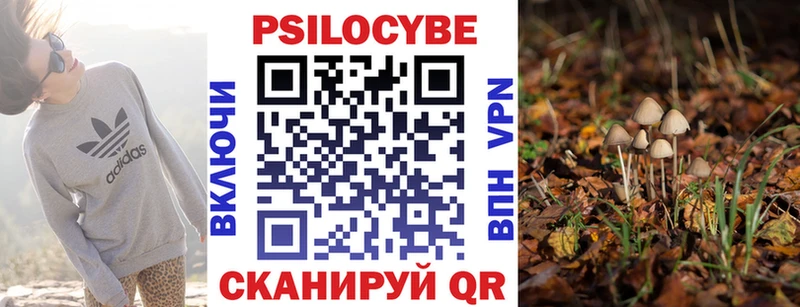 где купить   Видное  Псилоцибиновые грибы ЛСД 